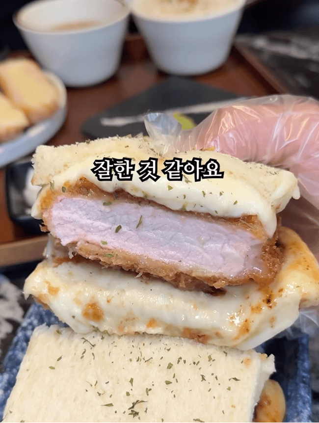카츠헤세드 릴스